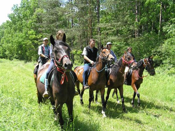 lovastura mosonmagyarovar